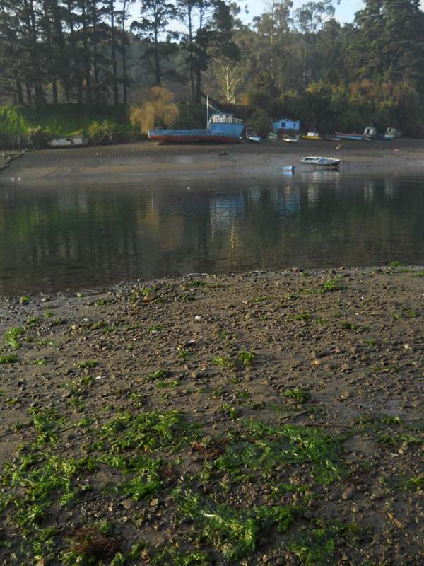 Foto: Puerto Montt - Puerto Montt (Los Lagos), Chile