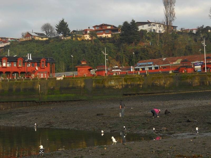 Foto: Puerto Montt - Puerto Montt (Los Lagos), Chile