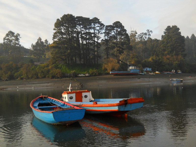 Foto: Puerto Montt - Puerto Montt (Los Lagos), Chile