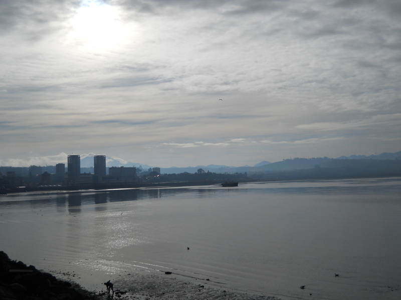 Foto: Puerto Montt - Puerto Montt (Los Lagos), Chile