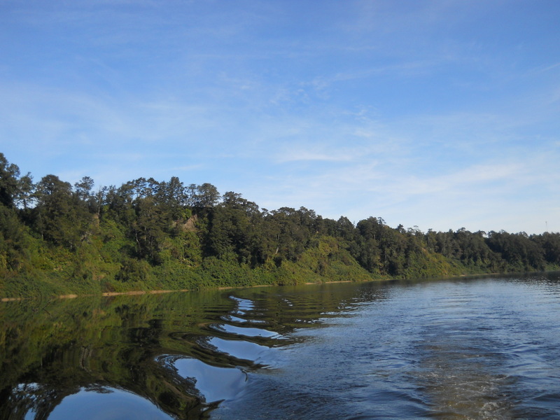 Foto: Puerto Varas - Puerto Varas (Los Lagos), Chile