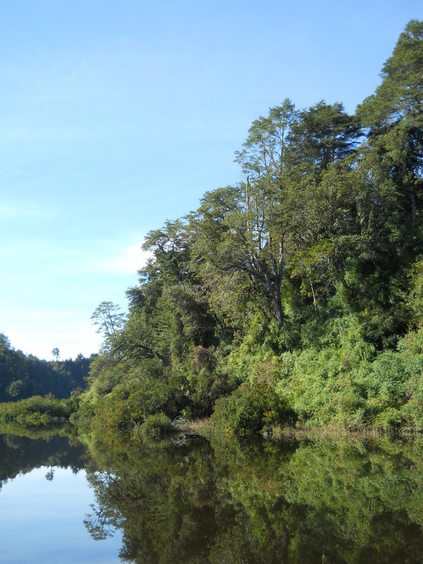 Foto: Puerto Varas - Puerto Varas (Los Lagos), Chile