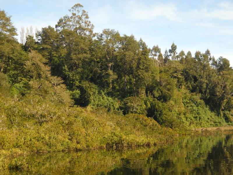 Foto: Puerto Varas - Puerto Varas (Los Lagos), Chile