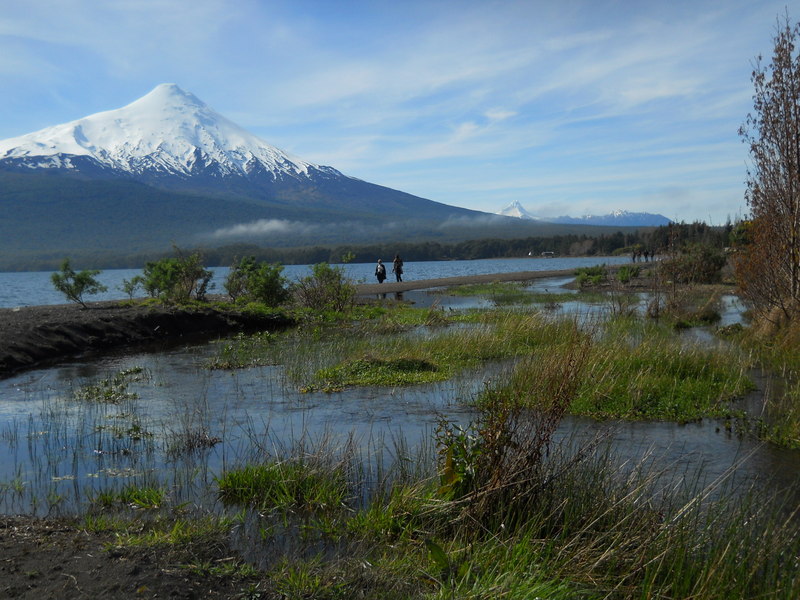 Foto: Puerto Varas - Puerto Varas (Los Lagos), Chile