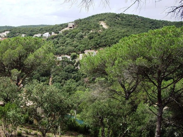 Foto: Urbanización Río de Oro - Calonge (Girona), España