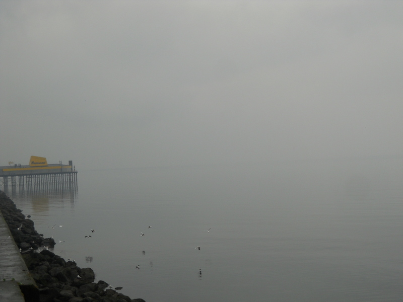 Foto: Puerto Montt - Puerto Montt (Los Lagos), Chile