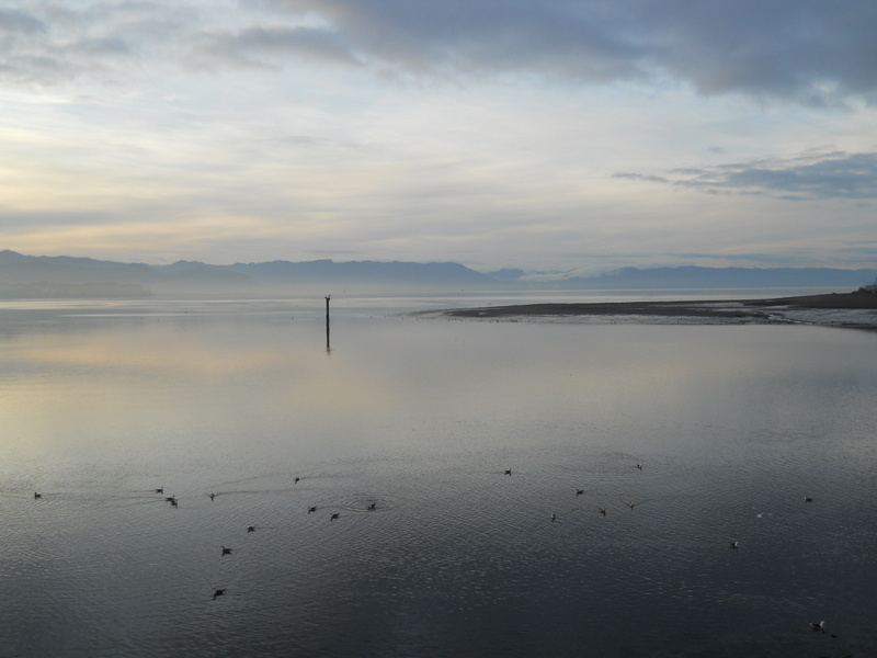 Foto: Puerto Montt - Puerto Montt (Los Lagos), Chile