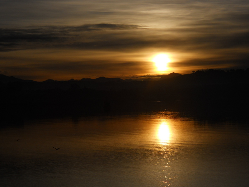 Foto: puerto montt - Puerto Montt (Los Lagos), Chile