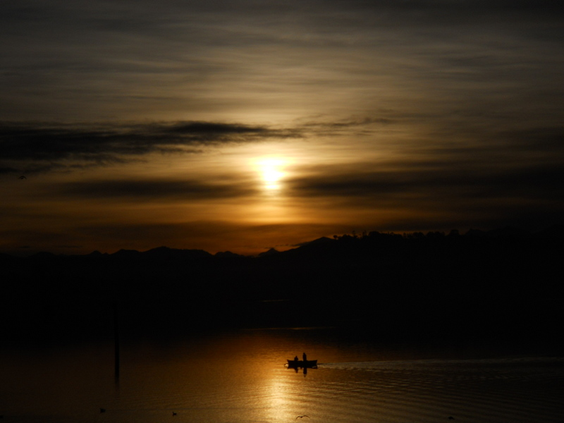 Foto: Puerto Montt - Puerto Montt (Los Lagos), Chile