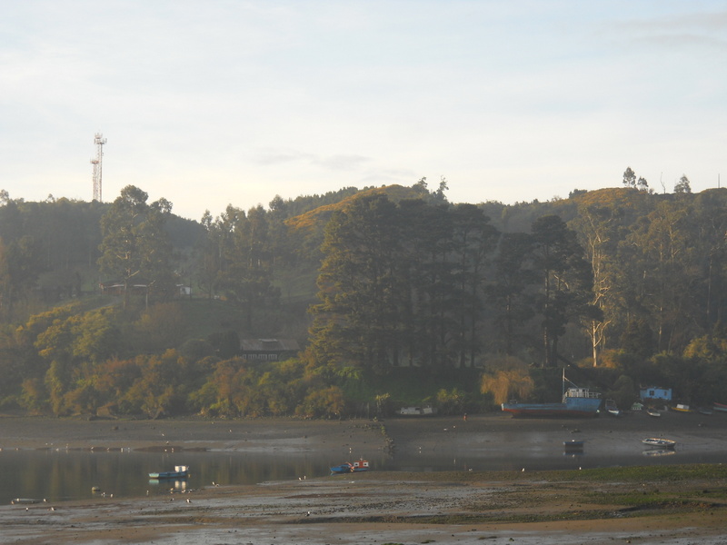 Foto: Puerto Montt - Puerto Montt (Los Lagos), Chile