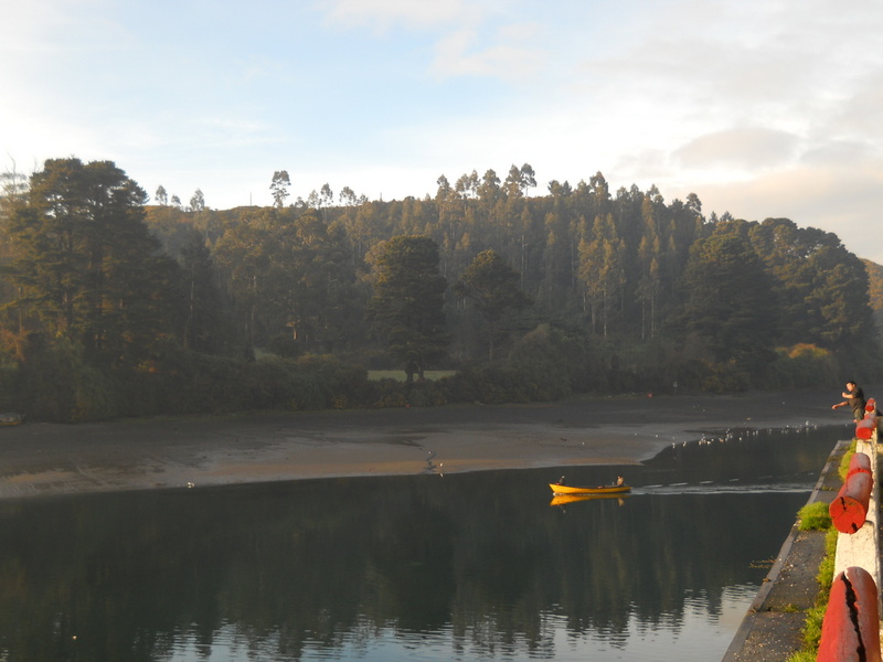 Foto: Puerto Montt - Puerto Montt (Los Lagos), Chile