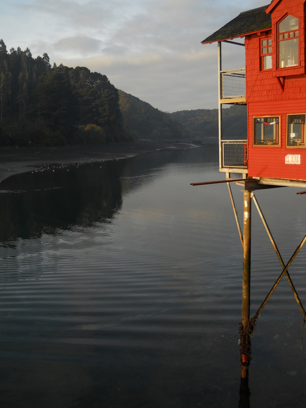 Foto: Puerto Montt - Puerto Montt (Los Lagos), Chile