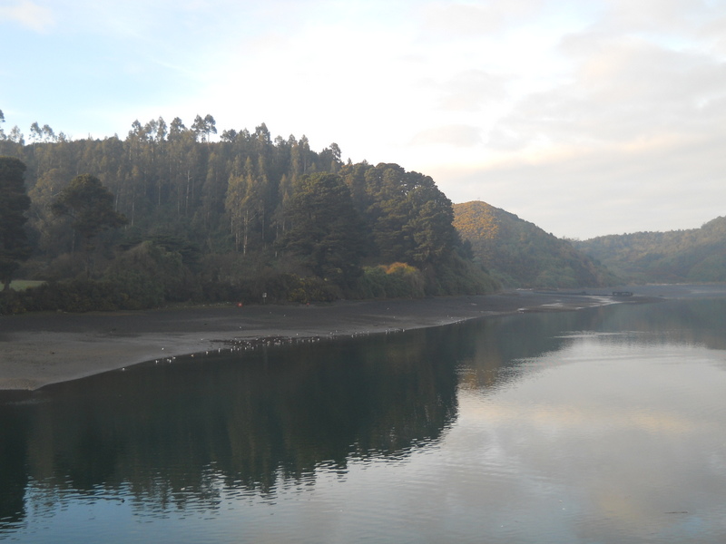 Foto: Puerto Montt - Puerto Montt (Los Lagos), Chile