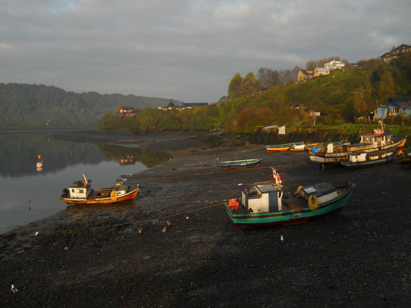 Foto: Puerto Montt - Puerto Montt (Los Lagos), Chile