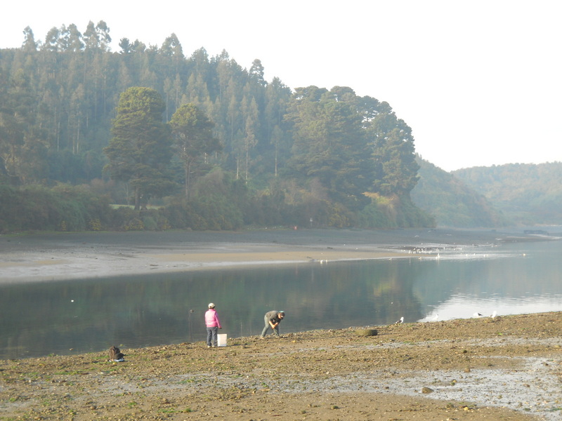 Foto: Puerto Montt - Puerto Montt (Los Lagos), Chile