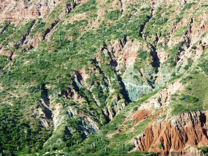 Foto: Camino a Cachi - Cachi (Salta), Argentina