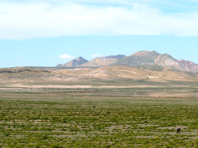 Foto: Parque Nacional Los Cardones. - Cachi (Salta), Argentina