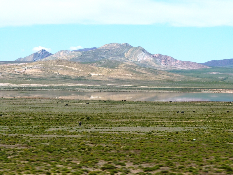 Foto: Parque Nacional Los Cardones. - Cachi (Salta), Argentina