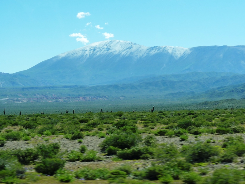 Foto: Parque Nacional Los Cardones. - Cachi (Salta), Argentina