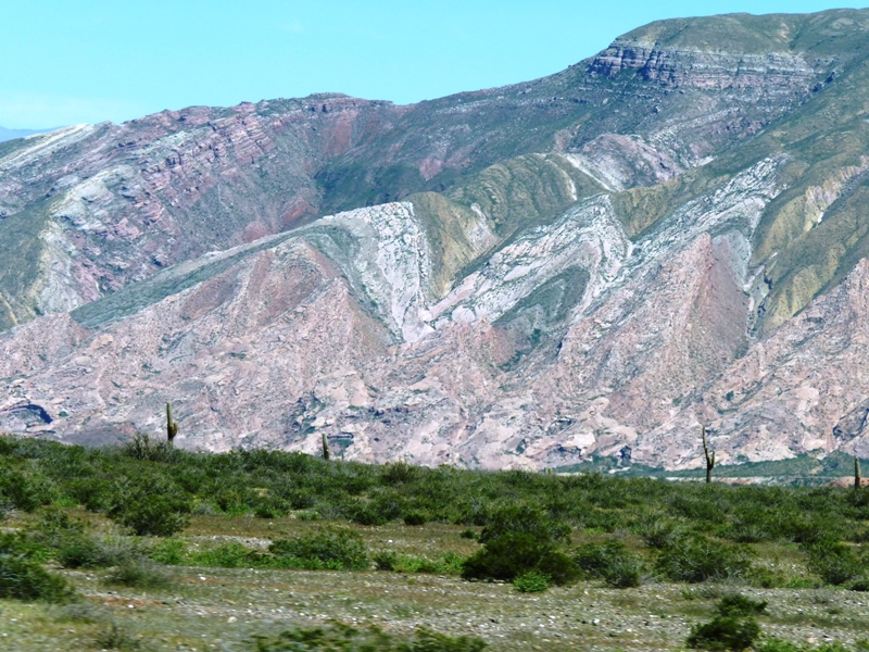 Foto: Parque Nacional Los Cardones. - Cachi (Salta), Argentina