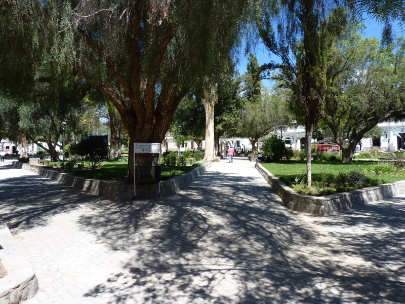 Foto: Plaza - Cachi (Salta), Argentina