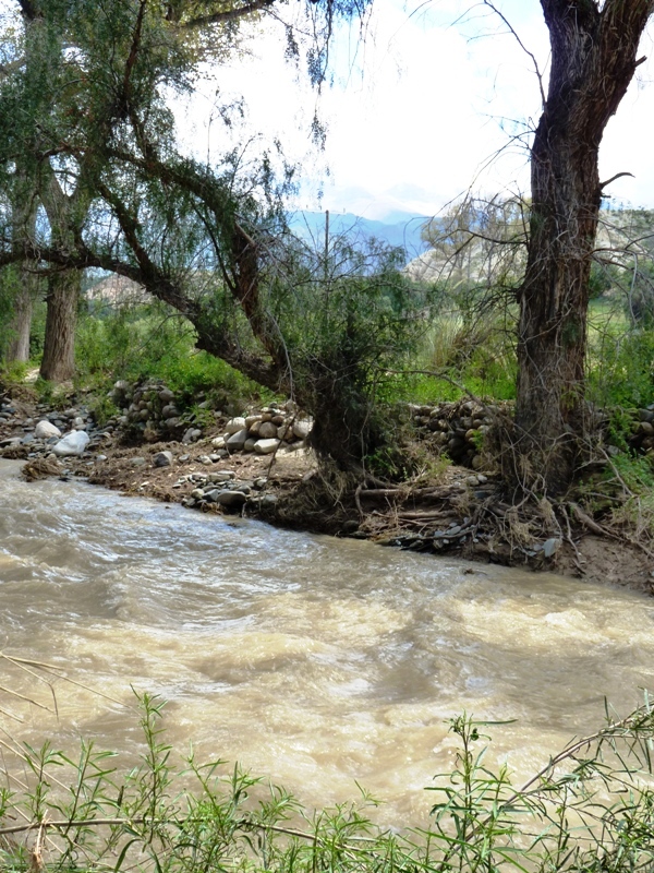 Foto de Cachi (Salta), Argentina