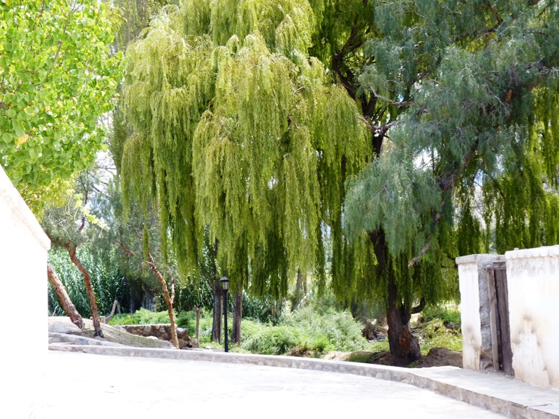 Foto de Cachi (Salta), Argentina