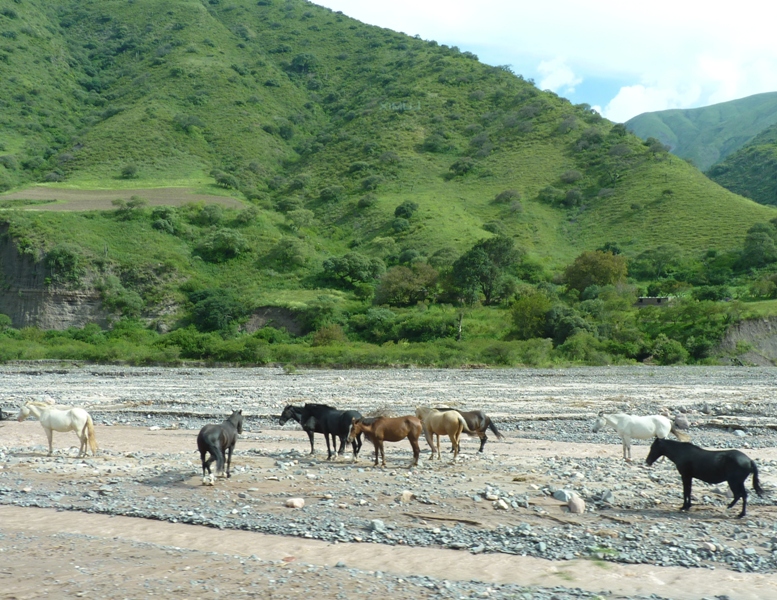 Foto de Cachi (Salta), Argentina