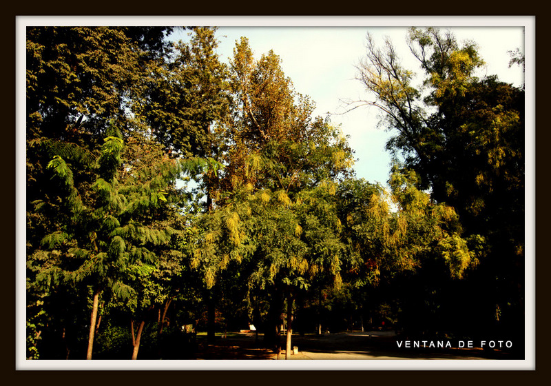 Foto: PARQUE DE MARIA LUISA - Sevilla (Andalucía), España