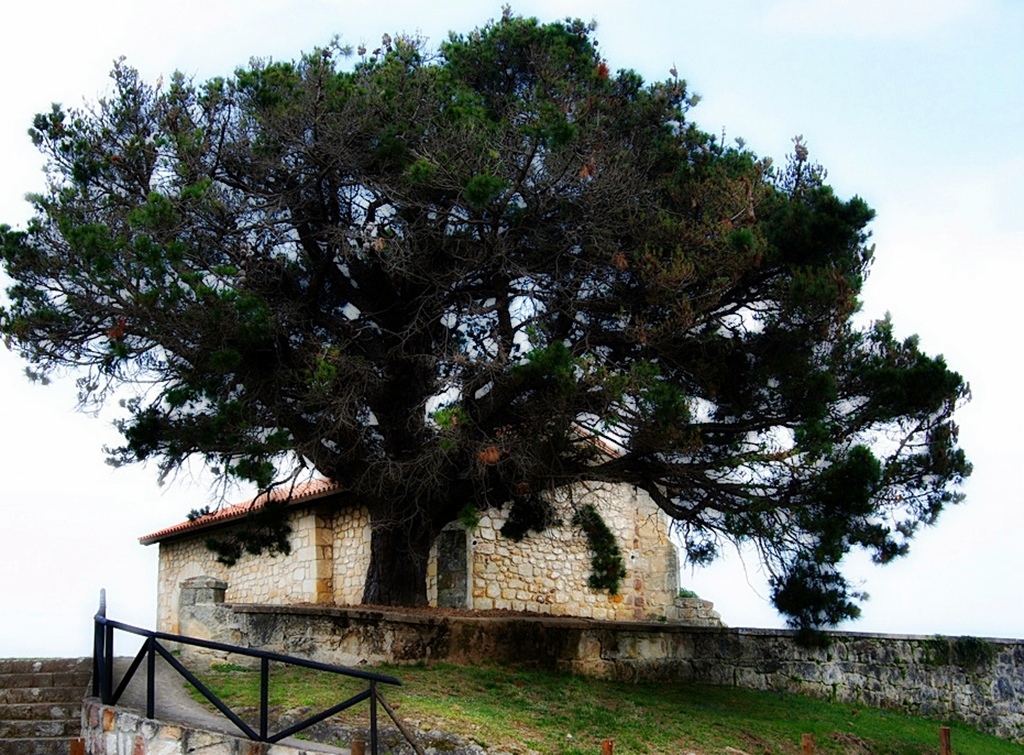 Foto: ermita de San Esteban - La Hayuela (Cantabria), España