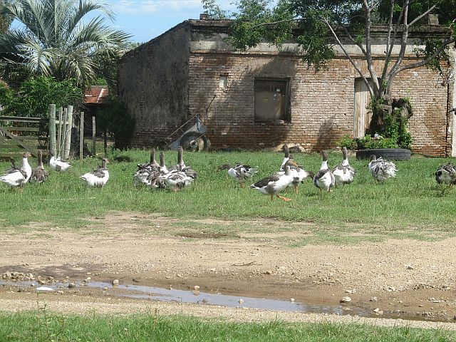 Foto: Casa De Campo, Brio Hipodromo - Rocha, Uruguay