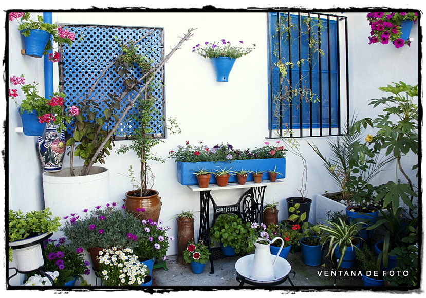 Foto: PATIOS - Córdoba (Andalucía), España