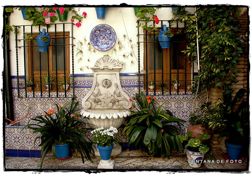 Foto: PATIOS - Córdoba (Andalucía), España