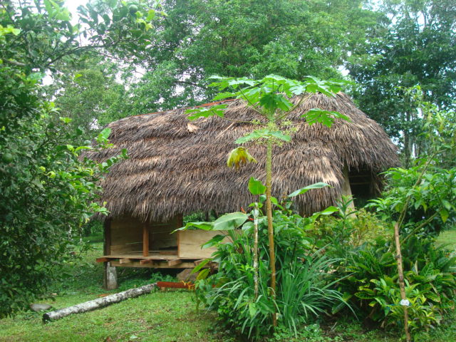 Foto: Choza tipica - Puyo (Pastaza), Ecuador