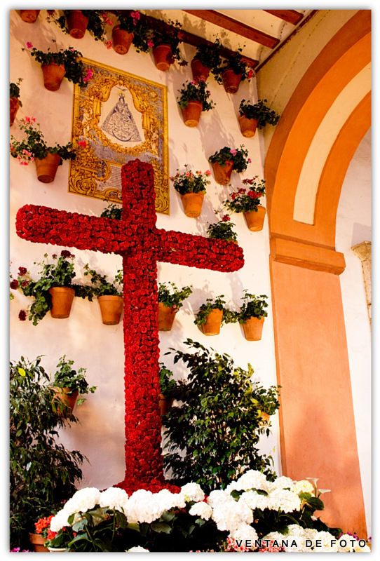 Foto: CRUCES DE MAYO - Córdoba (Andalucía), España