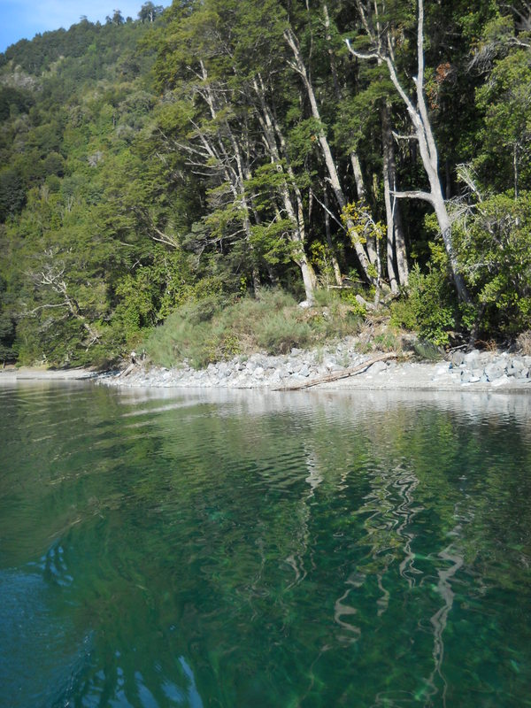 Foto: Puerto Varas - Puerto Varas (Los Lagos), Chile