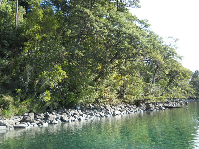 Foto: Puerto Varas - Puerto Varas (Los Lagos), Chile