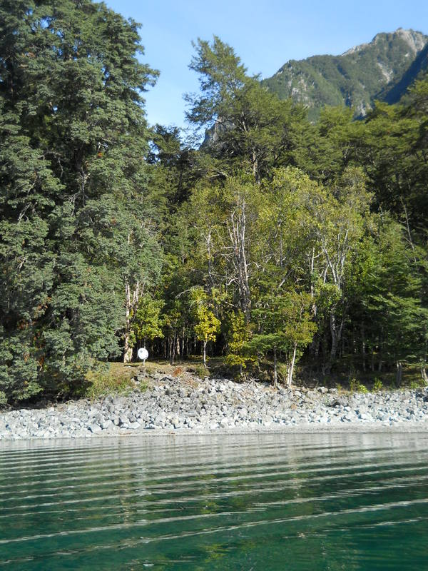 Foto: Puerto Varas - Puerto Varas (Los Lagos), Chile