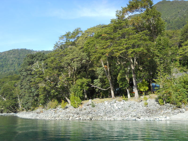 Foto: Puerto Varas - Puerto Varas (Los Lagos), Chile