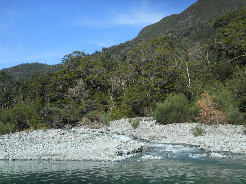 Foto: Puerto Varas - Puerto Varas (Los Lagos), Chile