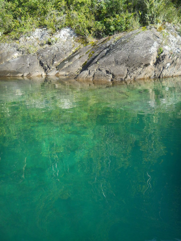 Foto: Puerto Varas - Puerto Varas (Los Lagos), Chile