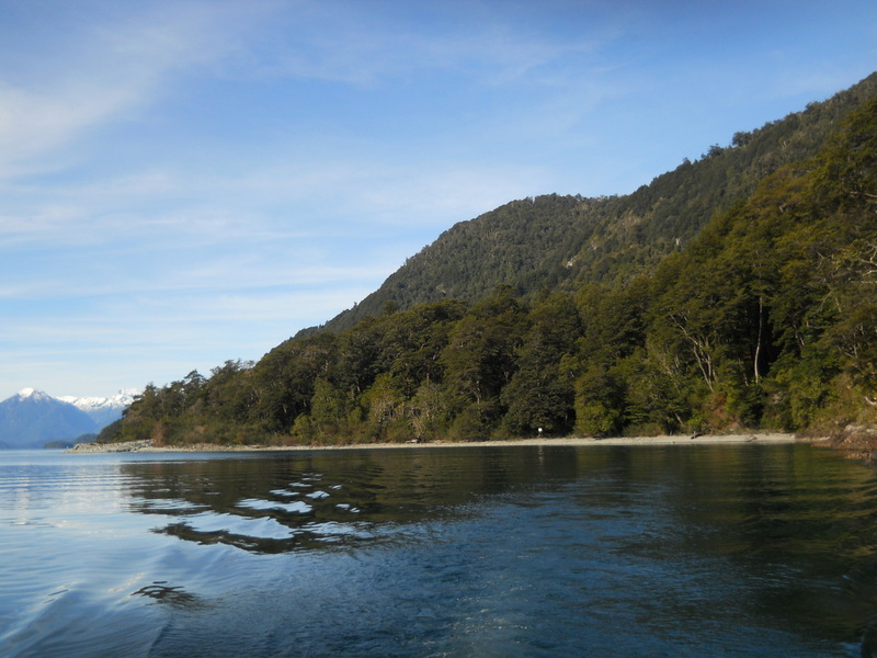 Foto: Puerto Varas - Puerto Varas (Los Lagos), Chile