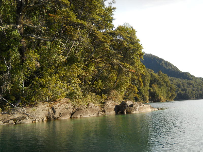 Foto: Puerto Varas - Puerto Varas (Los Lagos), Chile