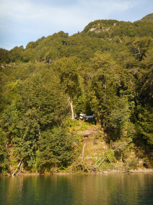 Foto: Puerto Varas - Puerto Varas (Los Lagos), Chile