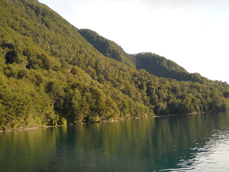 Foto: Puerto Varas - Puerto Varas (Los Lagos), Chile