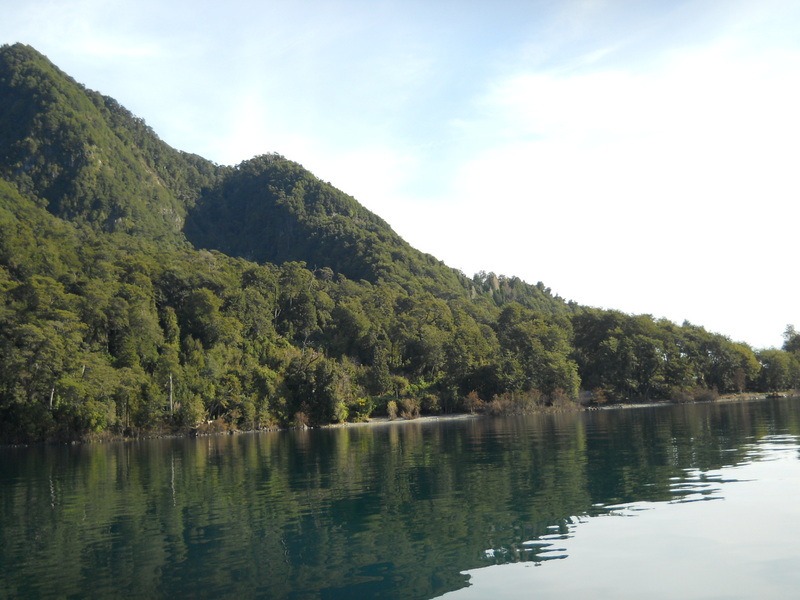 Foto: Puerto Varas - Puerto Varas (Los Lagos), Chile