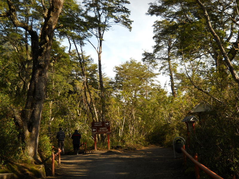 Foto: Puerto Varas - Puerto Varas (Los Lagos), Chile