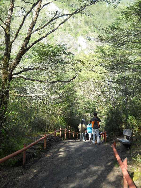 Foto: Puerto Varas - Puerto Varas (Los Lagos), Chile