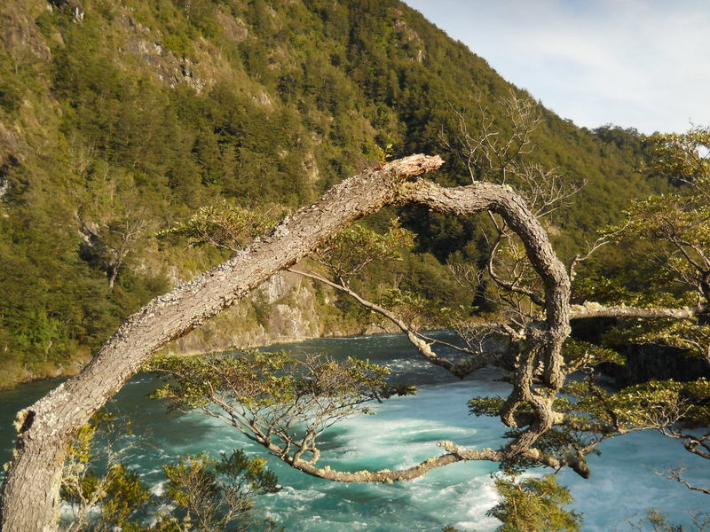 Foto: Puerto Varas - Puerto Varas (Los Lagos), Chile