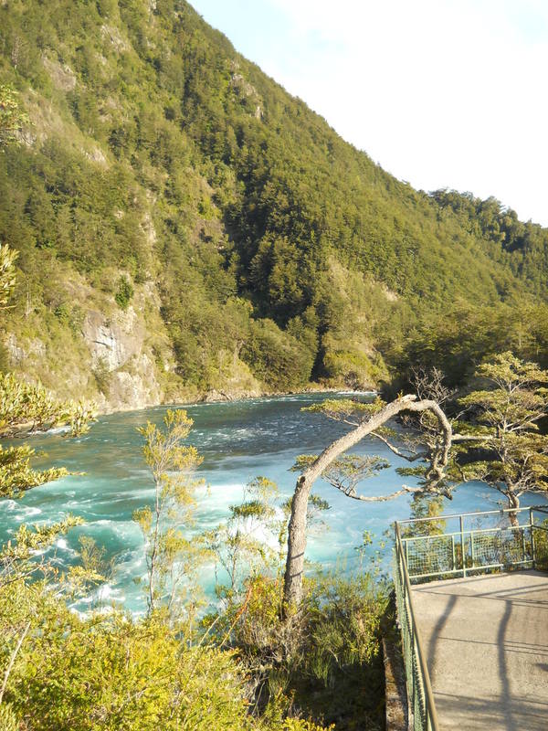 Foto: Puerto Varas - Puerto Varas (Los Lagos), Chile